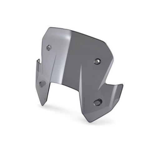 Windshield 60308008644