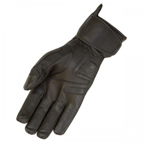 Merlin Darwin Gloves Range