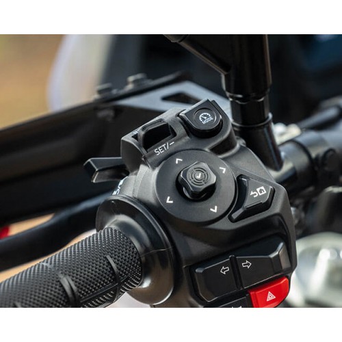 Cruise Control and Speed Limiter