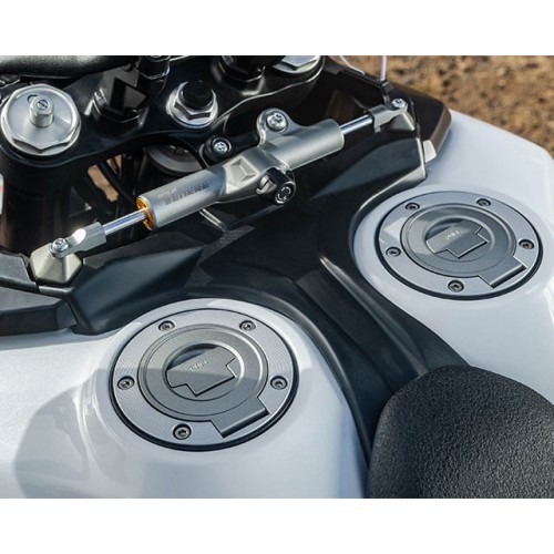 Large-capacity dual fuel tanks