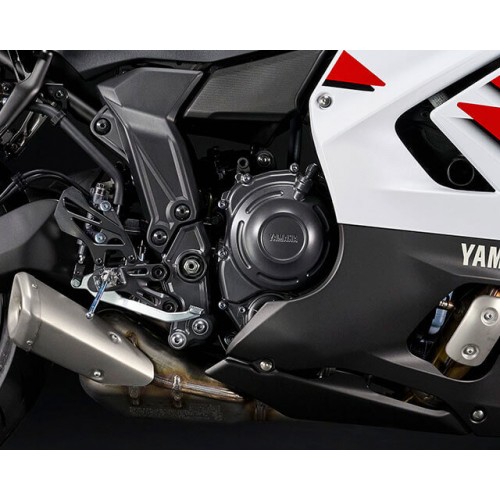 Proven 689cc CP2 Engine