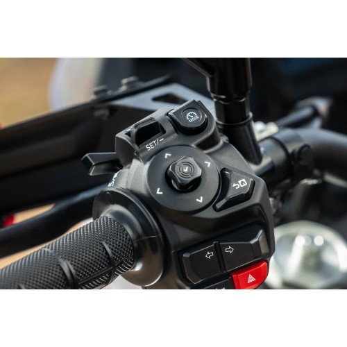 Cruise Control and Speed Limiter