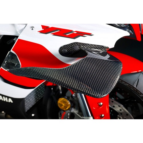 MotoGP inspired winglets