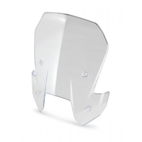 Windshield 60308008144